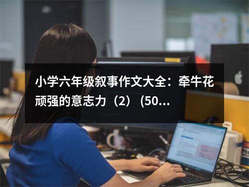 小學(xué)六年級(jí)敘事作文大全：牽牛花頑強(qiáng)的意志力（2） (500字)