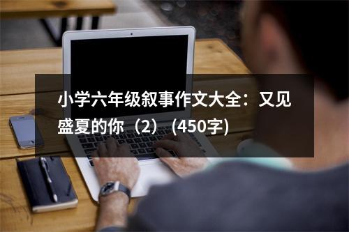 小學(xué)六年級敘事作文大全：又見盛夏的你（2） (450字)