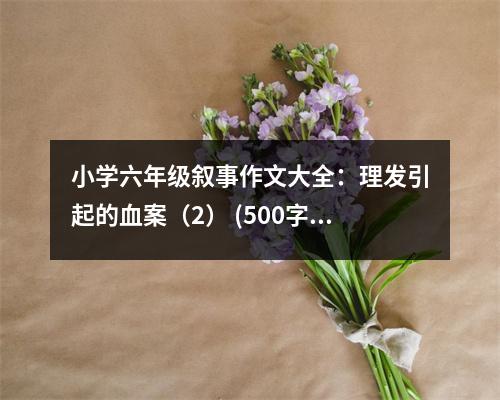 小學(xué)六年級敘事作文大全：理發(fā)引起的血案（2） (500字)