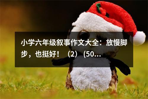小學(xué)六年級敘事作文大全：放慢腳步，也挺好！（2） (500字)