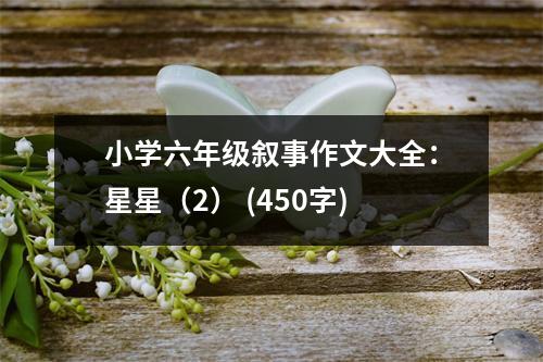 小學(xué)六年級(jí)敘事作文大全：星星（2） (450字)