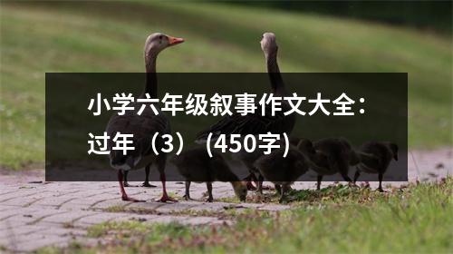 小學(xué)六年級敘事作文大全：過年（3） (450字)