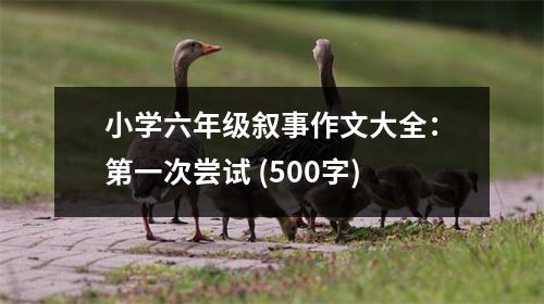 小學(xué)六年級敘事作文大全：第一次嘗試 (500字)