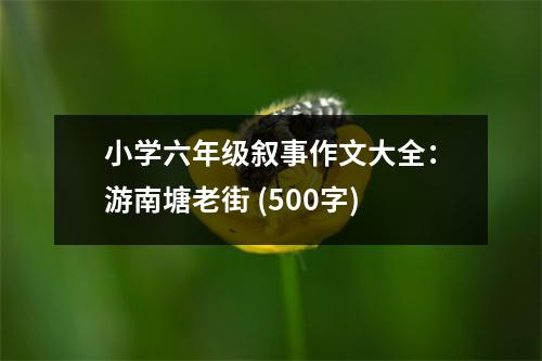 小學(xué)六年級敘事作文大全：游南塘老街 (500字)