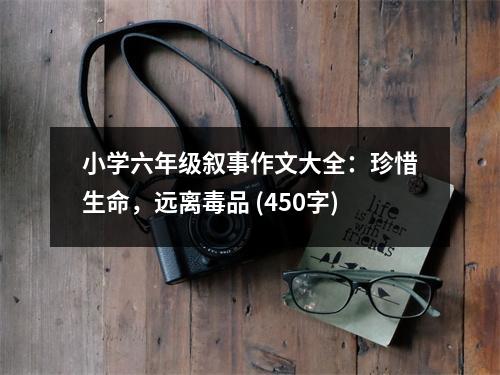 小學(xué)六年級敘事作文大全：珍惜生命，遠離毒品 (450字)