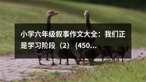 小學(xué)六年級(jí)敘事作文大全：我們正是學(xué)習(xí)階段（2） (450字)