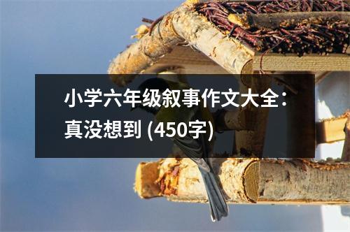 小學(xué)六年級(jí)敘事作文大全：真沒想到 (450字)