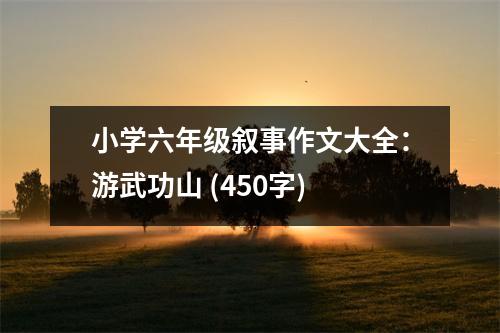小學(xué)六年級(jí)敘事作文大全：游武功山 (450字)