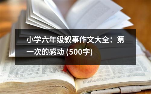 小學(xué)六年級敘事作文大全：第一次的感動 (500字)