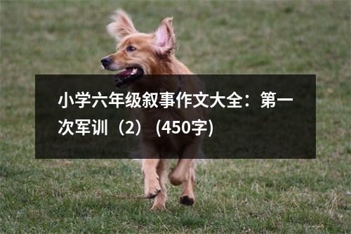 小學(xué)六年級敘事作文大全：第一次軍訓(xùn)（2） (450字)