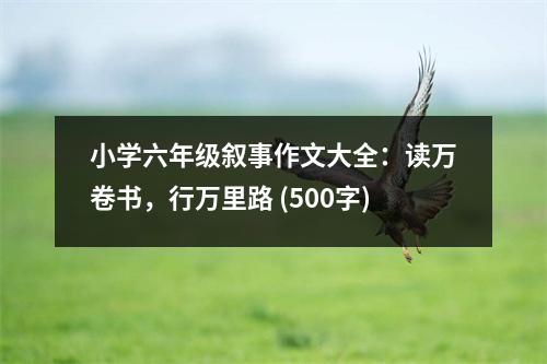 小學六年級敘事作文大全：讀萬卷書，行萬里路 (500字)
