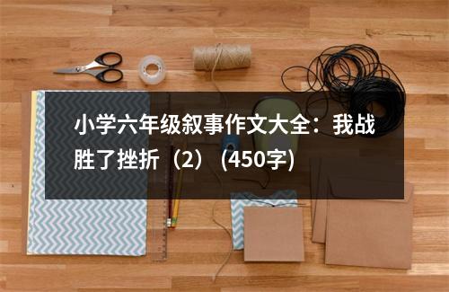 小學(xué)六年級敘事作文大全：我戰(zhàn)勝了挫折（2） (450字)