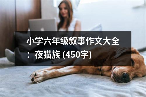 小學(xué)六年級敘事作文大全：夜貓族 (450字)
