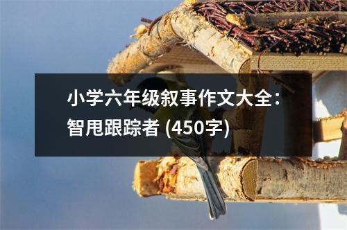 小學(xué)六年級(jí)敘事作文大全：智甩跟蹤者 (450字)