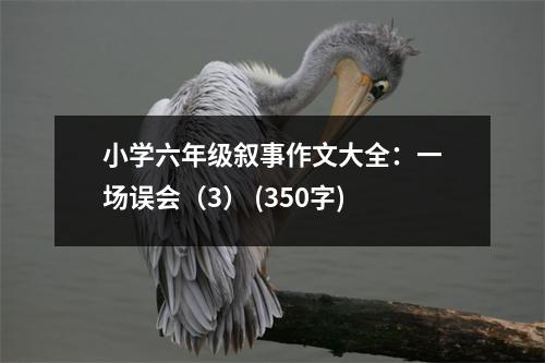 小學(xué)六年級敘事作文大全：一場誤會（3） (350字)