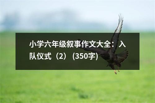 小學(xué)六年級(jí)敘事作文大全：入隊(duì)儀式（2） (350字)