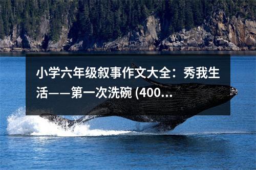 小學(xué)六年級(jí)敘事作文大全：秀我生活——第一次洗碗 (400字)