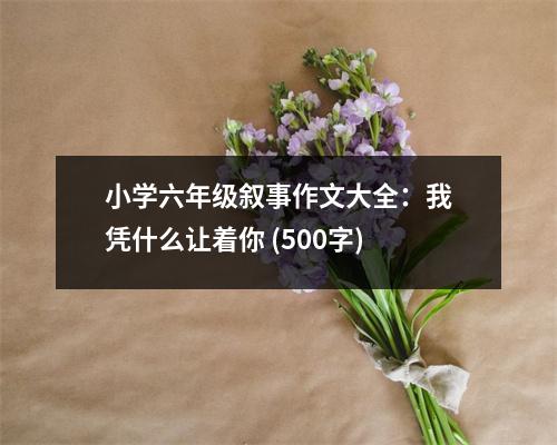 小學(xué)六年級(jí)敘事作文大全：我憑什么讓著你 (500字)