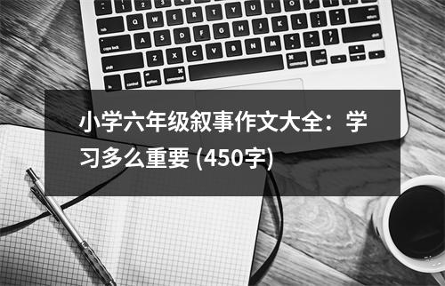 小學(xué)六年級敘事作文大全：學(xué)習(xí)多么重要 (450字)