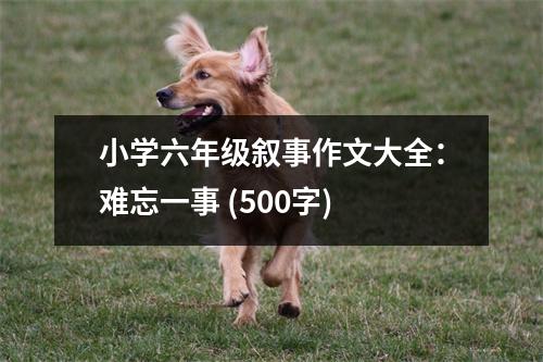 小學六年級敘事作文大全：難忘一事 (500字)