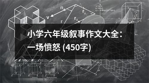 小學(xué)六年級(jí)敘事作文大全：一場(chǎng)憤怒 (450字)