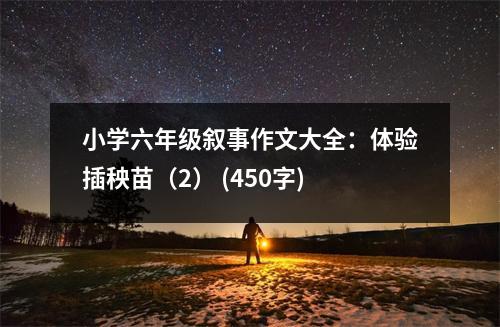 小學六年級敘事作文大全：體驗插秧苗（2） (450字)