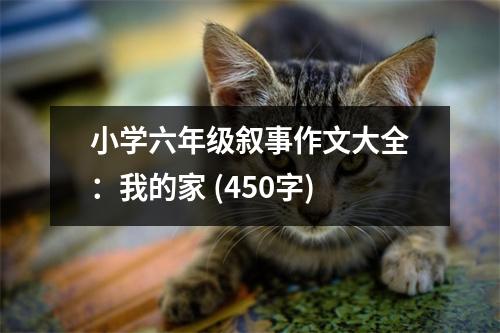 小學(xué)六年級(jí)敘事作文大全：我的家 (450字)