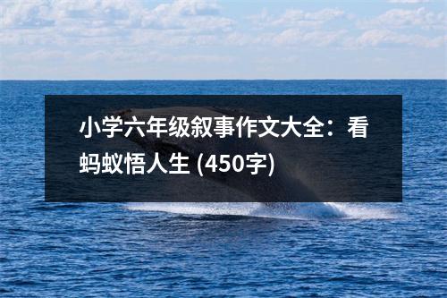小學(xué)六年級敘事作文大全：看螞蟻悟人生 (450字)