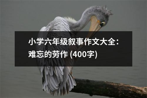小學(xué)六年級敘事作文大全：難忘的勞作 (400字)