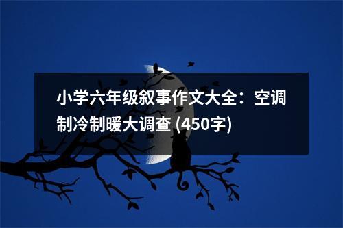小學(xué)六年級(jí)敘事作文大全：空調(diào)制冷制暖大調(diào)查 (450字)