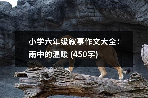 小學(xué)六年級(jí)敘事作文大全：雨中的溫暖 (450字)
