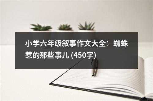 小學(xué)六年級(jí)敘事作文大全：蜘蛛惹的那些事兒 (450字)