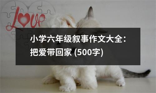 小學(xué)六年級(jí)敘事作文大全：把愛帶回家 (500字)