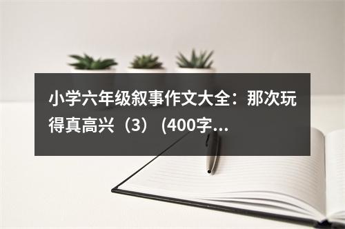 小學(xué)六年級(jí)敘事作文大全：那次玩得真高興（3） (400字)