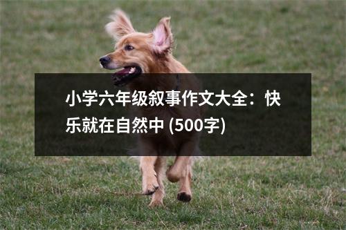 小學六年級敘事作文大全：快樂就在自然中 (500字)