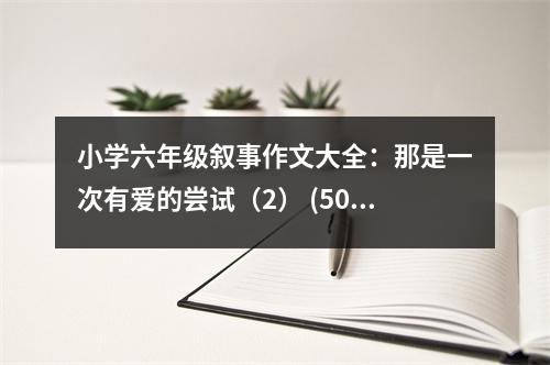 小學(xué)六年級(jí)敘事作文大全：那是一次有愛(ài)的嘗試（2） (500字)