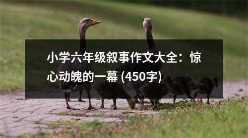 小學(xué)六年級敘事作文大全：驚心動魄的一幕 (450字)