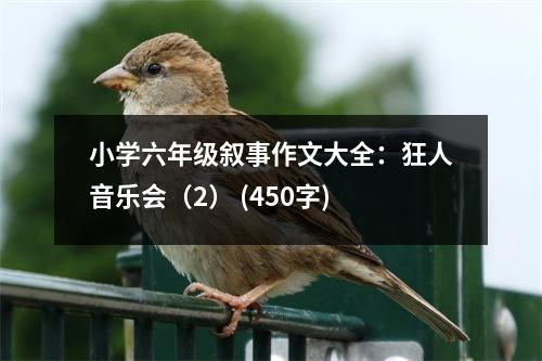 小學(xué)六年級(jí)敘事作文大全：狂人音樂會(huì)（2） (450字)