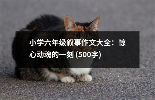 小學(xué)六年級(jí)敘事作文大全：驚心動(dòng)魂的一刻 (500字)
