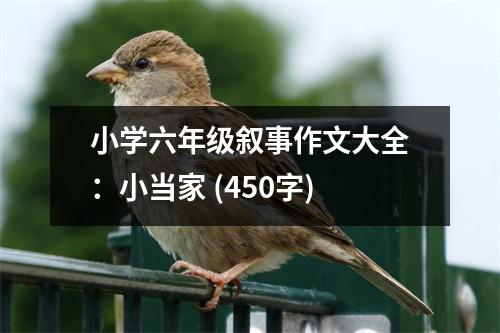 小學六年級敘事作文大全：小當家 (450字)