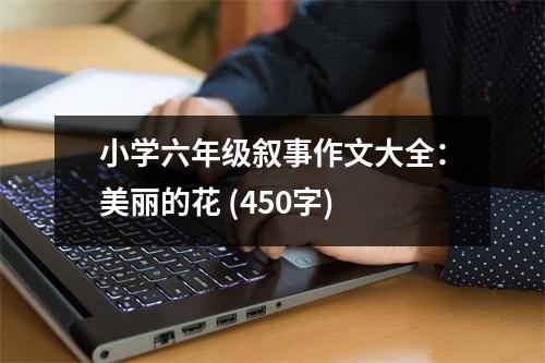 小學六年級敘事作文大全：美麗的花 (450字)