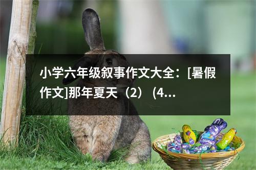 小學(xué)六年級(jí)敘事作文大全：[暑假作文]那年夏天（2） (400字)