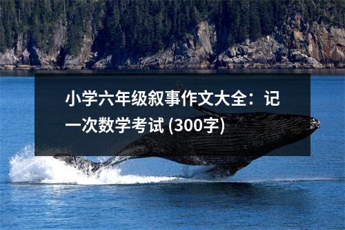 小學(xué)六年級(jí)敘事作文大全：記一次數(shù)學(xué)考試 (300字)