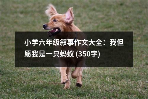 小學(xué)六年級敘事作文大全：我但愿我是一只螞蟻 (350字)