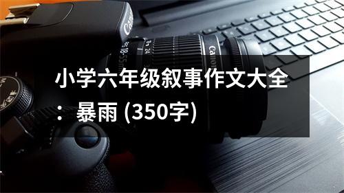 小學(xué)六年級(jí)敘事作文大全：暴雨 (350字)