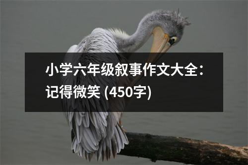 小學(xué)六年級敘事作文大全：記得微笑 (450字)