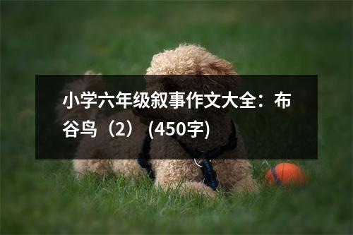 小學六年級敘事作文大全：布谷鳥（2） (450字)