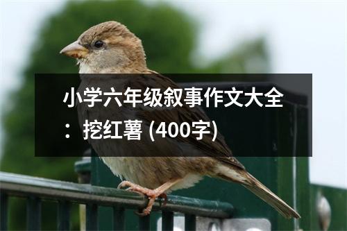 小學(xué)六年級(jí)敘事作文大全：挖紅薯 (400字)