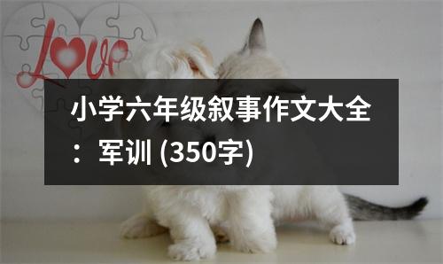 小學(xué)六年級敘事作文大全：軍訓(xùn) (350字)