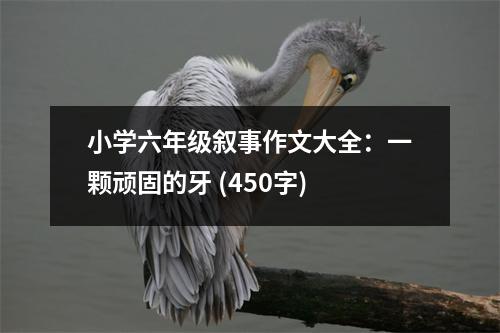 小學(xué)六年級敘事作文大全：一顆頑固的牙 (450字)